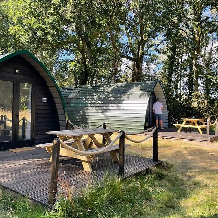 Nightjar Cabin At Cloudshill Glade Wareham Buitenkant foto