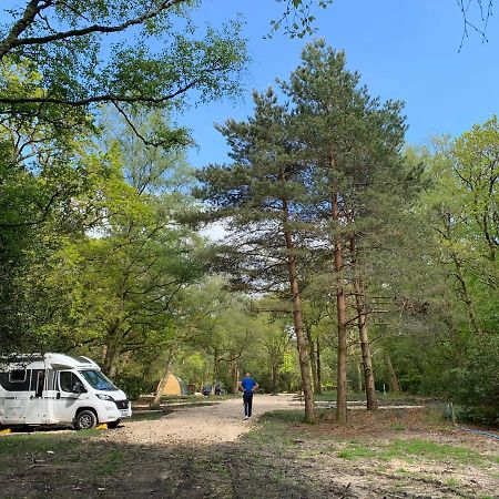 Nightjar Cabin At Cloudshill Glade Wareham Buitenkant foto