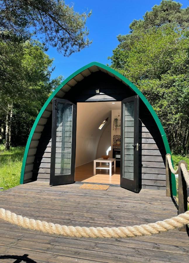 Nightjar Cabin At Cloudshill Glade Wareham Buitenkant foto