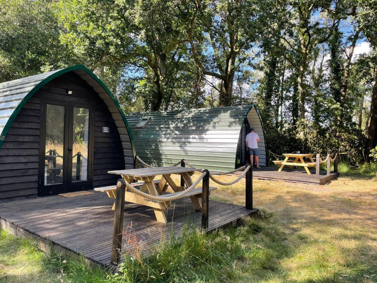 Nightjar Cabin At Cloudshill Glade Wareham Buitenkant foto