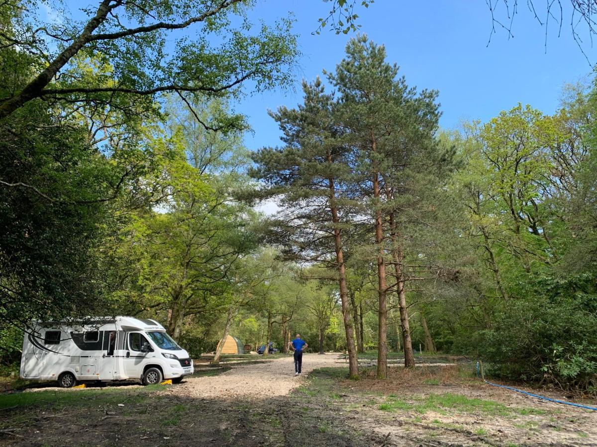 Nightjar Cabin At Cloudshill Glade Wareham Buitenkant foto